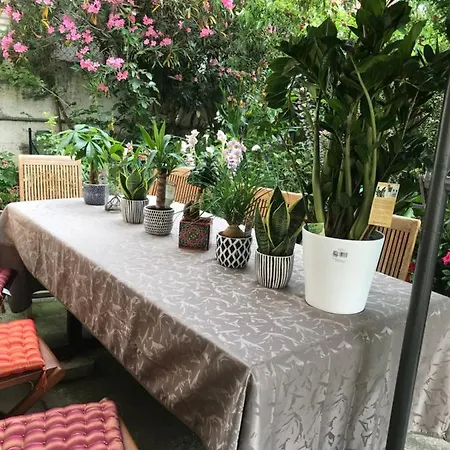 Homestay Violette